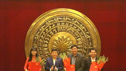 La provincia de Lam Dong emite una resolución que aprueba al Jefe Adjunto de la Delegación y a los Diputados de la Asamblea Nacional de tiempo completo para la 16ª legislatura.