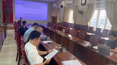 Департамент промисловості і торгівлі співпрацював з Народним комітетом комуни Тянь Ланг щодо розвитку промислових кластерів у цьому районі.