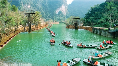 Ninh Binh memulai perjalanan pertumbuhan dua digitnya dengan mengesankan.