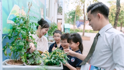 Skolförskola: Elmich Vietnam sår frön till grönt liv från små saker.