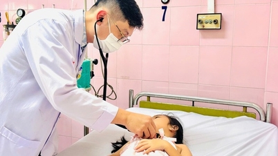 Kementerian Kesehatan menuntut penelusuran asal makanan yang menyebabkan hampir 150 anak dirawat di rumah sakit karena dugaan keracunan makanan di Kota Ho Chi Minh.