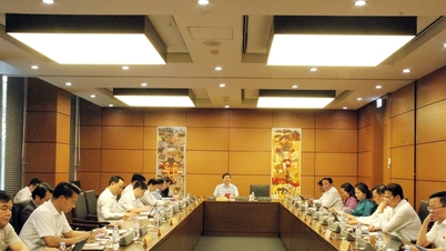 Discussion at Group 9 (National Assembly Delegation of Can Tho City and Lai Chau, Lang Son provinces): Decisive implementation of special mechanisms, unlocking resources from the public and private sectors.