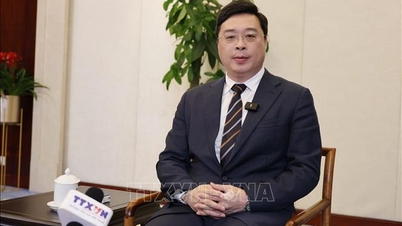 Vietnam ve Çin yerleşimleri arasında '3 bağlantı' kurulmasını teşvik etmek.