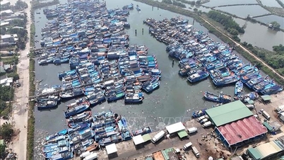 Fishermen adapt amidst soaring prices.