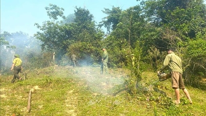 Căldură intensă și incendii forestiere continue au loc în provincia Nghe An.