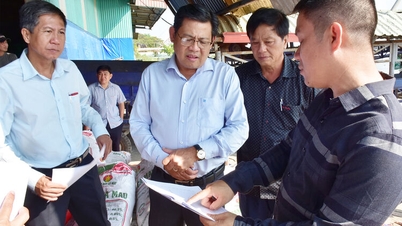 Nestleder i An Giang provinsielle folkekomité, Ngo Cong Thuc, inspiserer jordskredsituasjonen i Vinh Thanh Trung kommune.