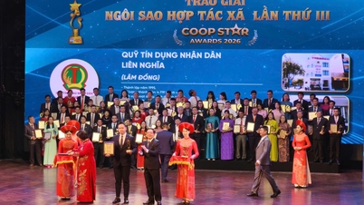 Fem representanter fra Hai Phong ble hedret med Cooperative Star-prisen og Mai An Tiem-prisen.