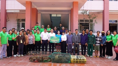 The Farmers' Association of Ngu Hanh Son ward provides livelihoods for people in Avuong commune.