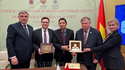 Rusya-Vietnam ilişkilerinde yeni 'işbirliği alanları' oluşturuluyor.