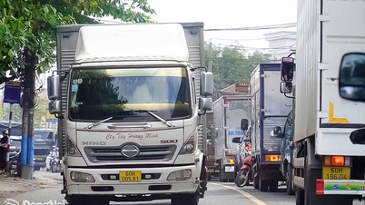 Bereid voorstellen voor de aanleg van 3 belangrijke stedelijke wegen in Bien Hoa voor.