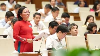 法的扶助法を改正・補足する法案：男女平等と女性および児童の保護を統合する必要がある。