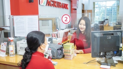 O Agribank assume a liderança na redução das taxas de juros, reafirmando seu papel como um banco de referência.