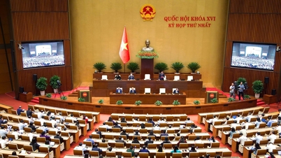 De afgevaardigde van de Nationale Assemblee uit de provincie Lam Dong stelt voor om de instellingen te verbeteren en de rechten van burgers in het digitale tijdperk te waarborgen.