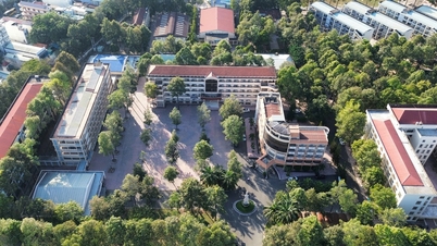 Why does Dong Nai University have a policy of attracting many high-quality lecturers?