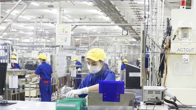 ADB-directeur: Institutionele hervormingen en productiviteitsverhoging zullen de Vietnamese economie een nieuwe impuls geven.