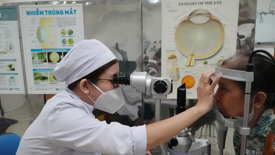 Het Vung Tau-ziekenhuis (Ho Chi Minh-stad) biedt gratis medische onderzoeken aan bijna 300 ouderen.