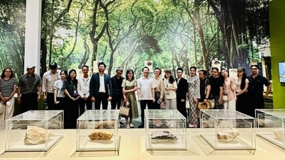 ฮานอยกำลังเสริมสร้างความเชื่อมโยงและฟื้นฟูผลิตภัณฑ์การท่องเที่ยวที่เป็นเอกลักษณ์ของเมืองหลวง