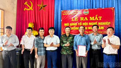 Ra mắt mô hình tổ hội nông dân nghề nghiệp trồng dâu nuôi tằm