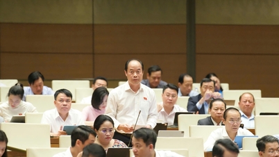 Parlementslid Bui Manh Cuong (Khanh Hoa): Definieer duidelijk het toepassingsgebied van de resolutie.