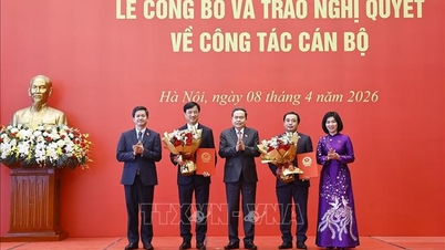 Traslado de la pertenencia a la delegación de la Asamblea Nacional para el Secretario del Comité del Partido de la ciudad de Hanoi y el Jefe del Departamento de Organización Central.
