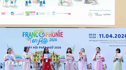 Tijdens de Franstalige Dag vonden er in Ho Chi Minh-stad tal van uiteenlopende activiteiten plaats.