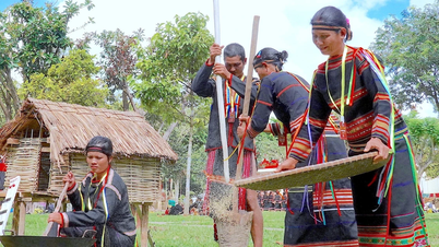 Gia Lai intensifies activities to promote the Day of Vietnamese Ethnic Cultures.