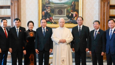 Bertujuan untuk meningkatkan hubungan Vietnam-Takhta Suci ke peringkat pembangunan yang baharu.