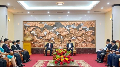 Lam Dong tartomány vezetői munkamegbeszélést tartottak a kambodzsai vietnami nagykövetséggel
