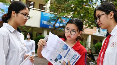 Entrance exam scores for 10th grade in Hanoi's public high schools over the past 3 years.