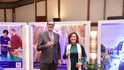 Vietnamesische Professorin erhält den renommierten französischen Palmenorden.