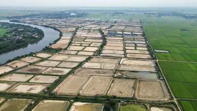 Ready for the new shrimp farming season.
