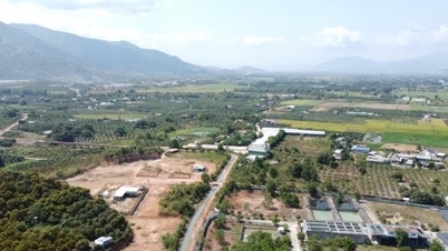 ខេត្ត Khanh Hoa ស្នើសុំឱ្យពន្លឿនដំណើរការនៃការកំណត់តម្លៃដីធ្លីនៅក្នុងគម្រោងនានា។