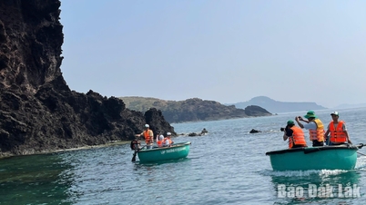 Preserving coral reefs in the Hon Yen area, linked with community tourism development.