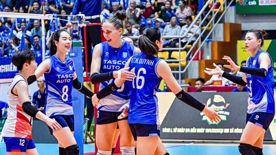 Programação da transmissão ao vivo do Campeonato Nacional de Voleibol em 12 de abril.