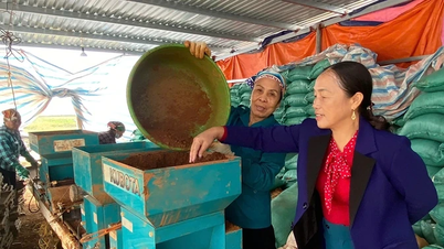 El pilar de apoyo para los agricultores en Nhan Ly.