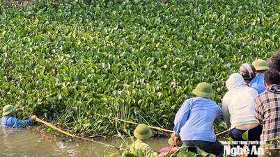 Nghe An: Akselererer mudring for å «redde» vassdrag og sikre vannforsyning til vanning.