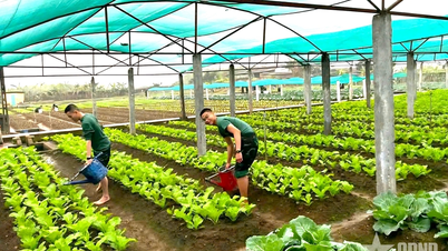 Brigade 299: Practical and sustainable increase in production.