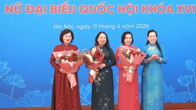 제16대 국회 여성 대표들의 건설적이고 리더십 있는 여정에 대한 기대.