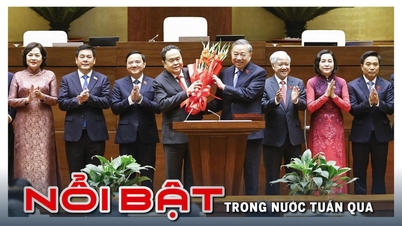 Höhepunkte der vergangenen Woche: Die Nationalversammlung reorganisiert den Staatsapparat; das Politbüro verkündet Entscheidungen in Personalangelegenheiten; Vietnam ratifiziert das Übereinkommen gegen Computerkriminalität.