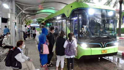 Há ônibus gratuitos disponíveis, mas que soluções adicionais são necessárias?