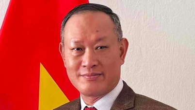 La visita del Primer Ministro eslovaco a Vietnam: Hacia un nuevo nivel en las relaciones, generando un nuevo impulso para profundizar la cooperación.