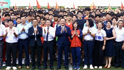 Ho Chi Minh City University of Physical Education and Sports achieved a record in the first talent recruitment exam of 2026.