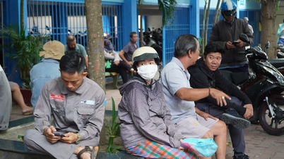 Quelle est la procédure pour la fourniture des repas scolaires à l'école Binh Quoi Tay et dans d'autres lieux ?