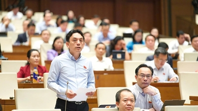 完善 legal framework for Vietnamese representative offices abroad