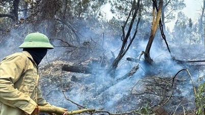 Nghe An-provinsen släckte omedelbart en skogsbrand bakom berget Mo Da.