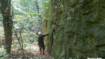 Inspeccionando el misterioso muro de piedra en el bosque primigenio de Quang Tri.
