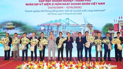 Hai Phong City کاروباری افراد کے لیے اخلاقیات کا ضابطہ جاری کرتا ہے۔