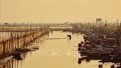 Kehidupan di Laguna Tam Giang - Bagian 1