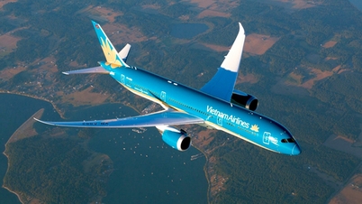 Τα κέρδη της Vietnam Airlines μειώθηκαν μετά τον έλεγχο.
