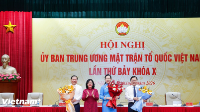 Jawatankuasa Pusat Barisan Tanah Air Vietnam mempunyai tiga Naib Pengerusi baharu.